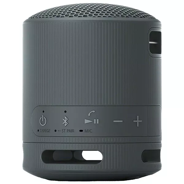 Sony Black SRS-XB100 Bluetooth Speaker